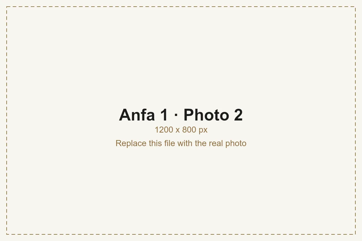 Anfa 1