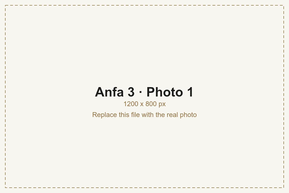 Anfa 3