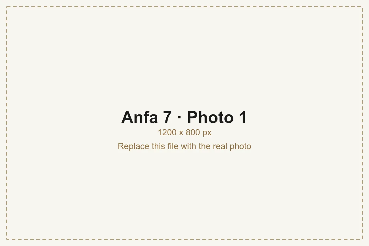 Anfa 7
