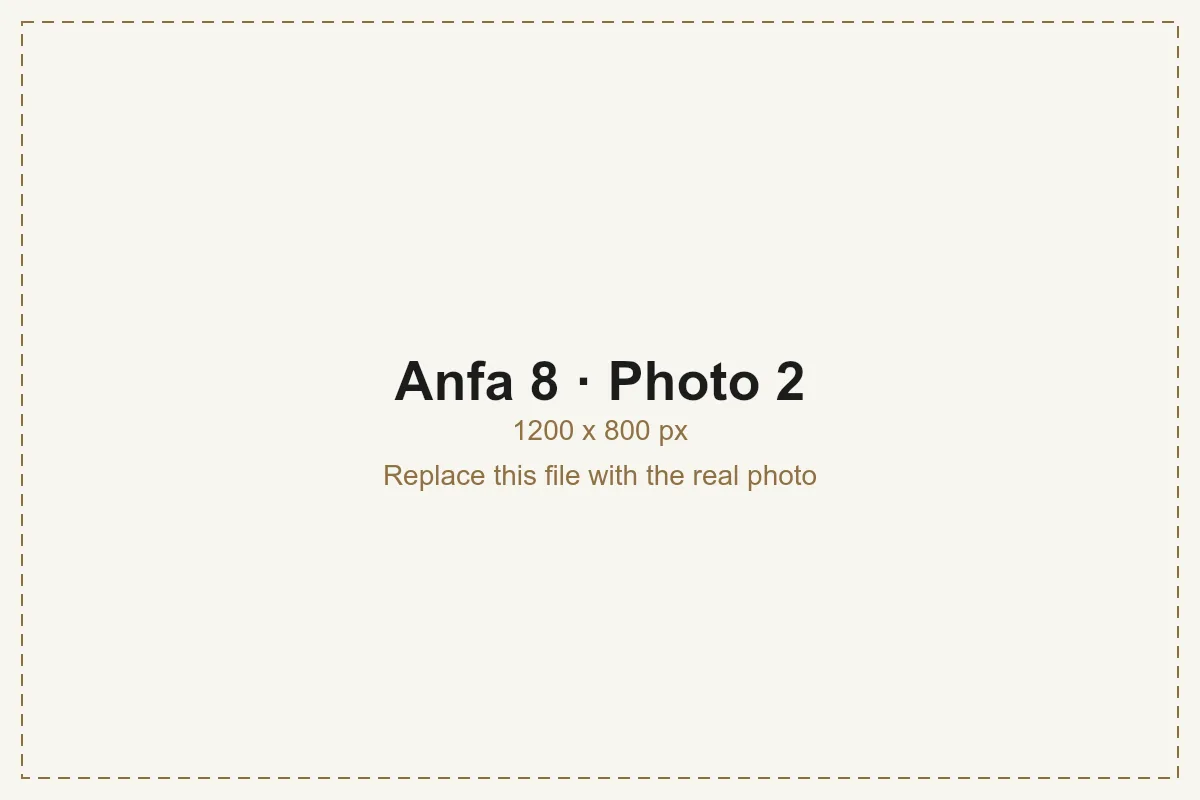 Anfa 8